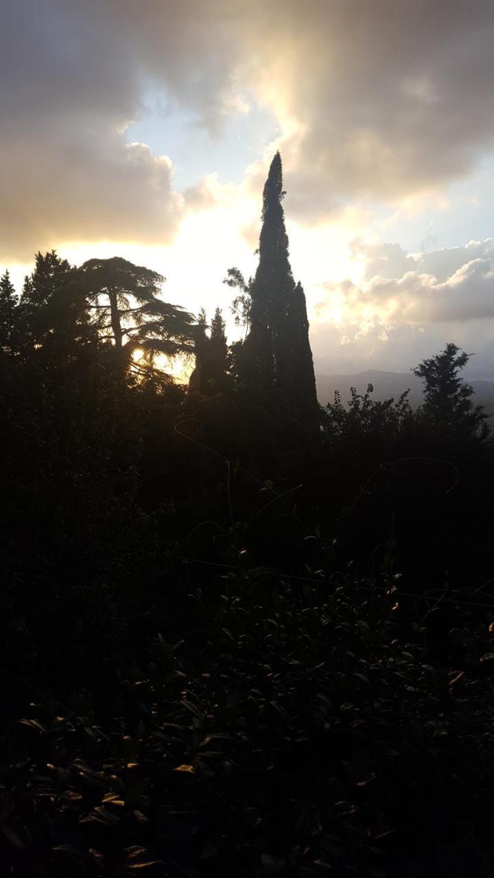 Locanda Nel Cassero Civitella Marittima Dış mekan fotoğraf